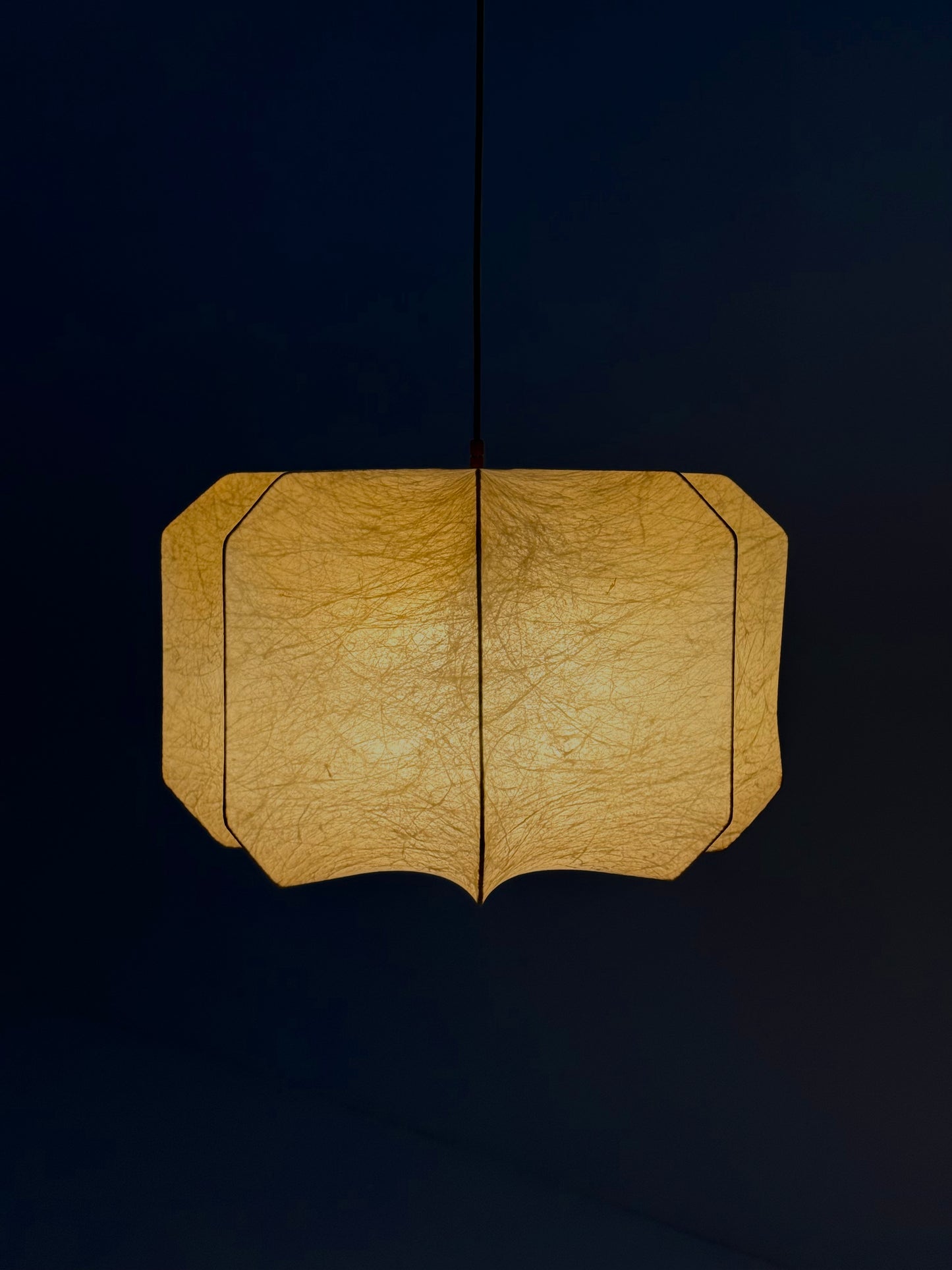 Achille & Pier Giacomo Castiglioni Cocoon hanglamp