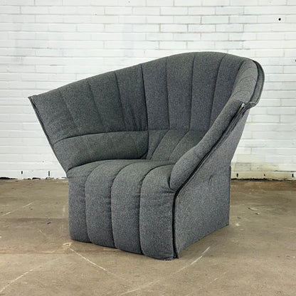 Moel fauteuil van Ligne Roset door Inga Sempe